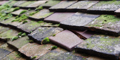 Ashendon roof repair costs